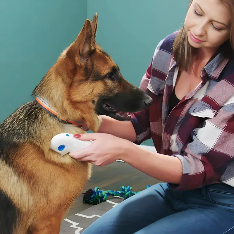 Peine eléctrico mata pulgas para perros y gatos, sin químicos y recargable