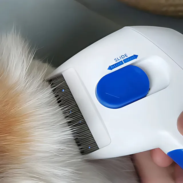 Detalle de las púas finas del peine eléctrico mata pulgas