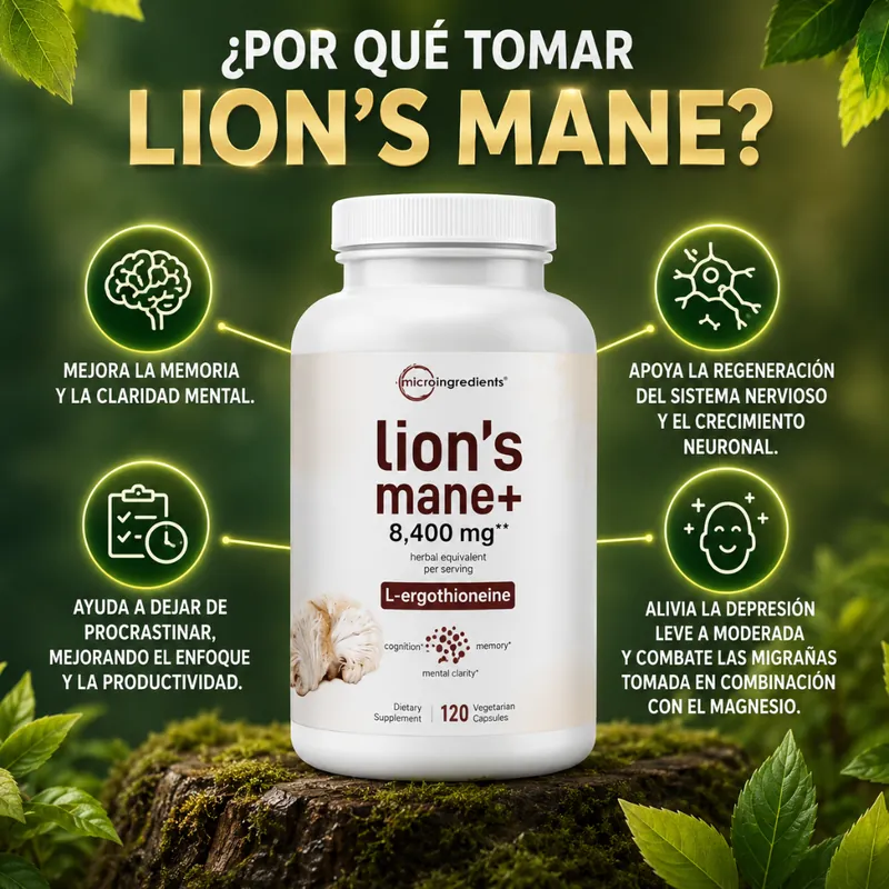 Por qué tomar Lion's Mane: memoria, claridad mental y enfoque
