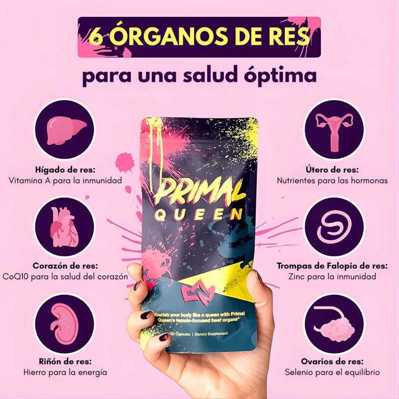 6 órganos de res para una salud óptima: hígado, corazón, riñón, útero, ovarios y trompas de falopio